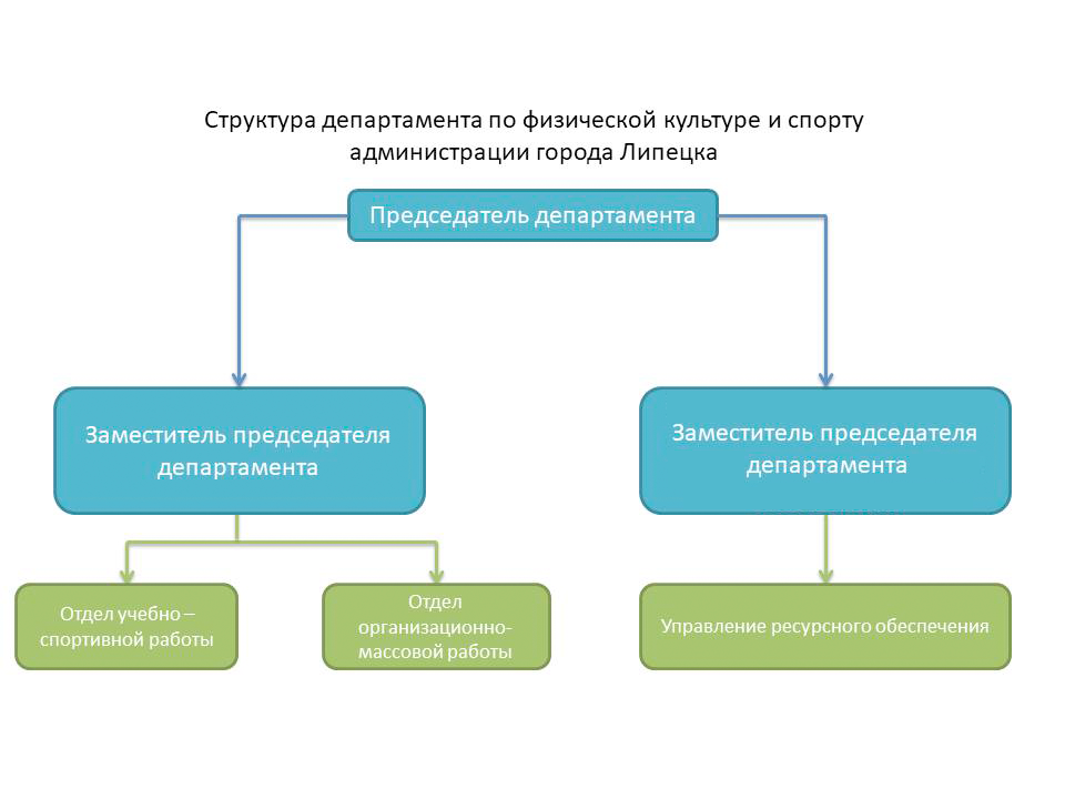 Министерства входят в состав органов. Департамент спорта структура. Структура Министерства спорта. Структура Министерства спорта РФ. Структура департамента ФКИС.