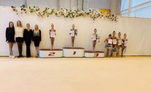 Read more about the article Чемпионат Липецкой области по художественной гимнастике