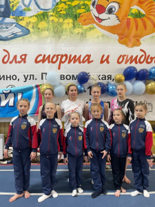 Read more about the article Соревнования по спортивной гимнастике