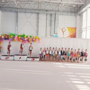 Read more about the article Первенство города Липецка по художественной гимнастике